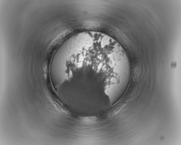 X0000093620644200710291227