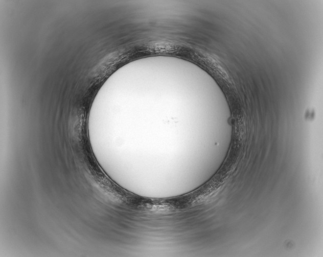 X0000093620645200710291227