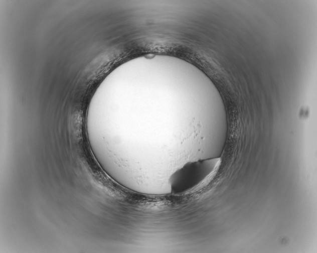 X0000093620646200710291227