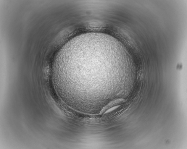 X0000093620647200710291227