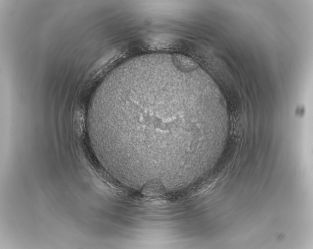 X0000093620648200710291227