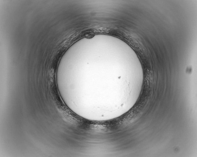 X0000093620649200710291227