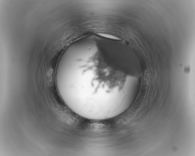 X0000093620650200710291227