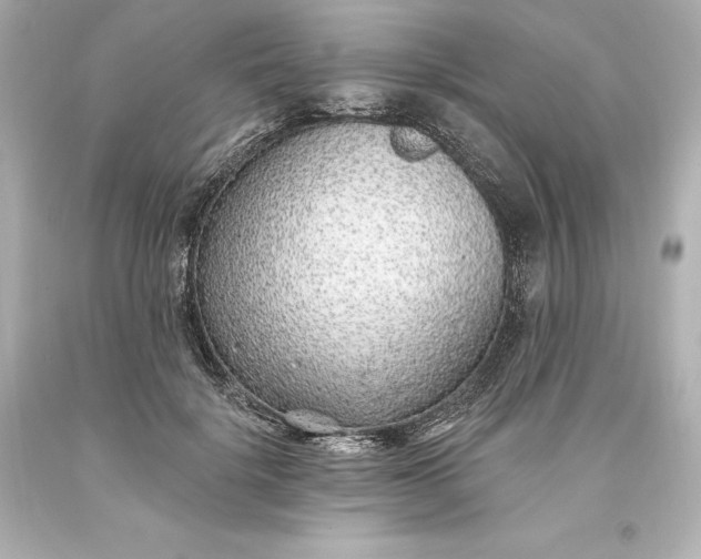 X0000093620652200710291227