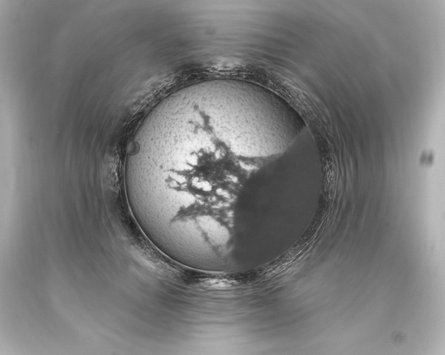 X0000093620654200710291227