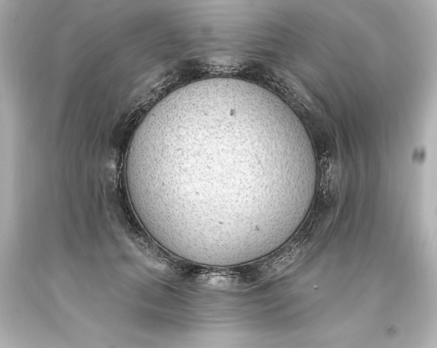 X0000093620655200710291227