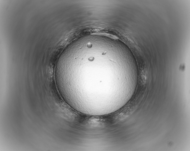 X0000093620657200710291227