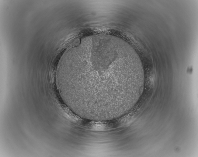 X0000093620658200710291227