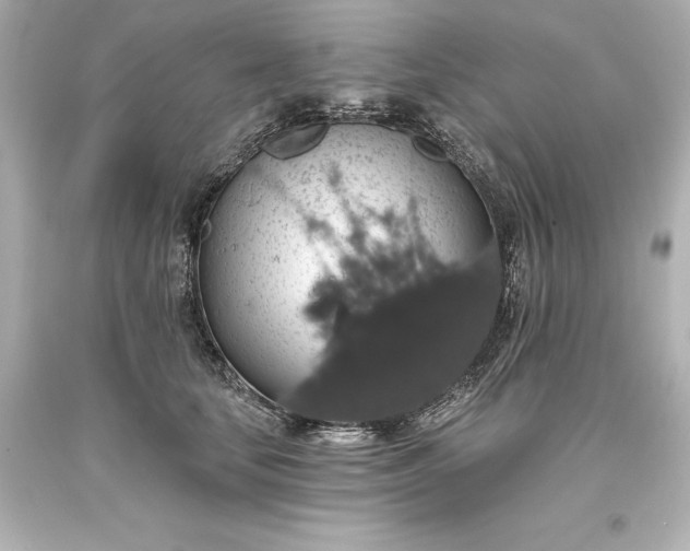 X0000093620659200710291227