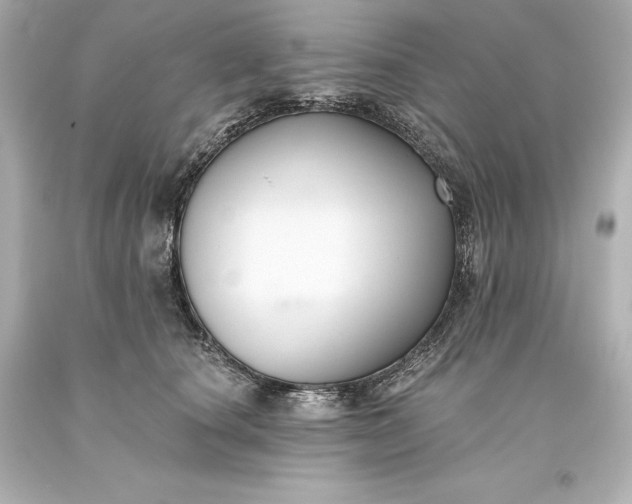 X0000093620660200710291227