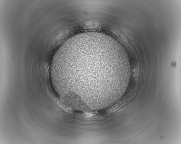X0000093620662200710291227