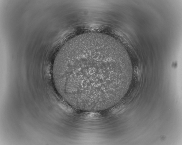 X0000093620663200710291227