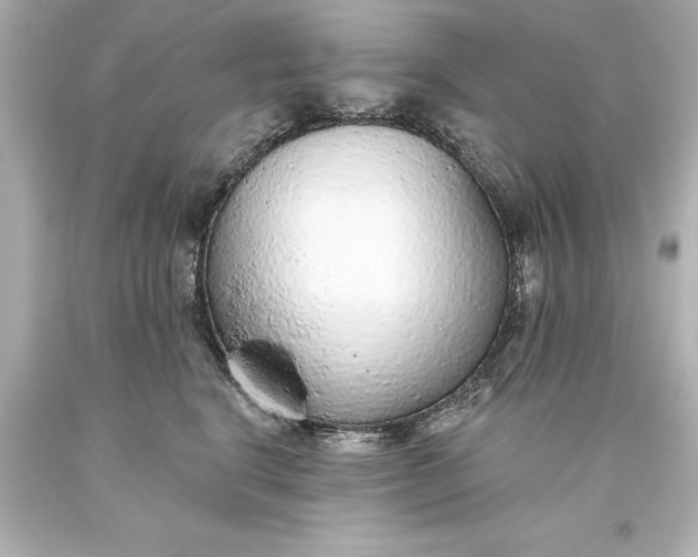 X0000093620664200710291227