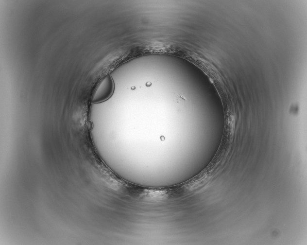 X0000093620665200710291227