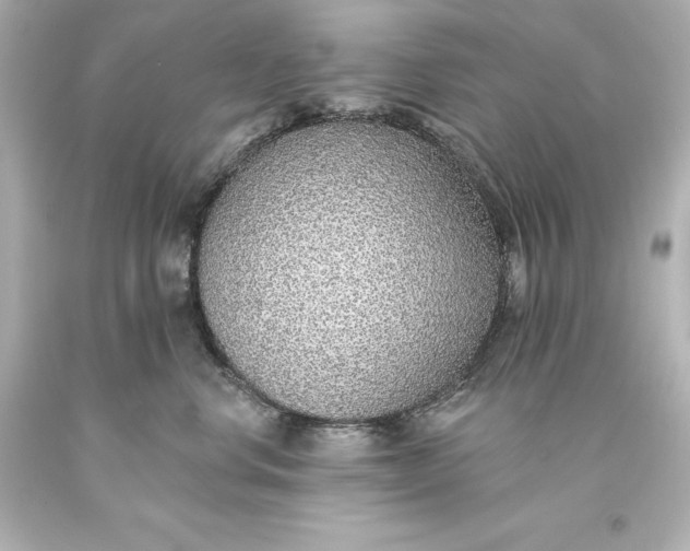 X0000093620668200710291227