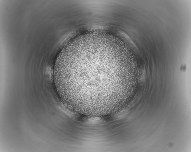 X0000093620669200710291227