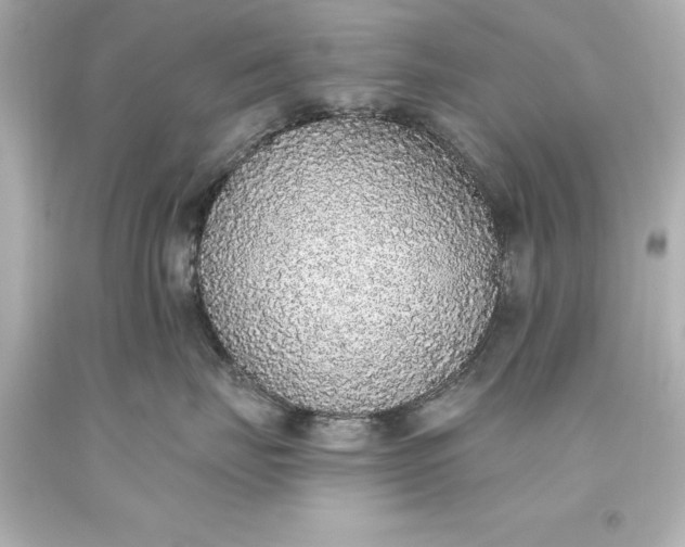 X0000093620671200710291227