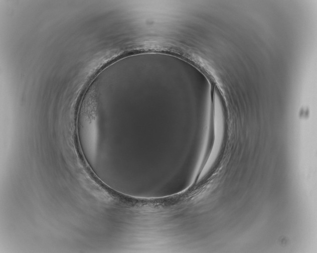 X0000093620673200710291227