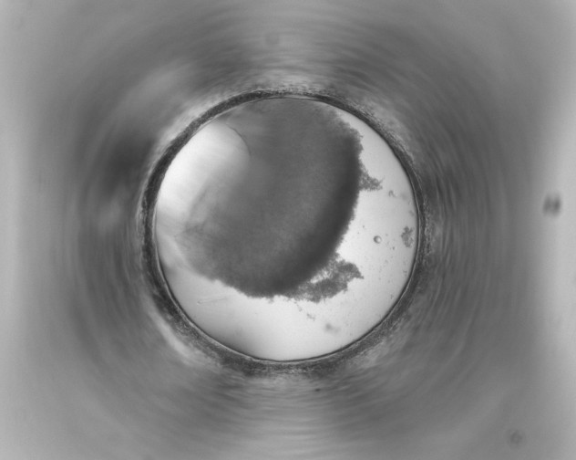 X0000093620674200710291227
