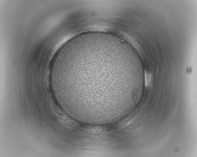 X0000093620675200710291227