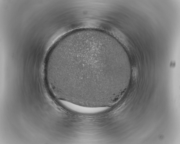 X0000093620676200710291227