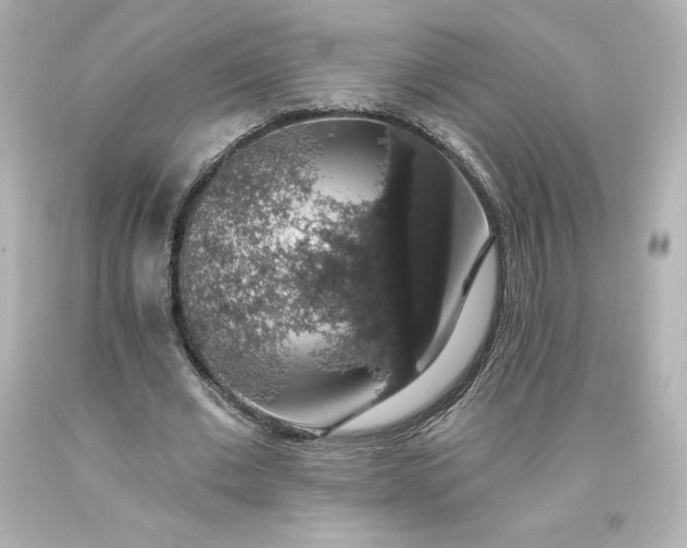 X0000093620677200710291227
