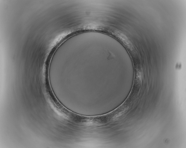 X0000093620678200710291227