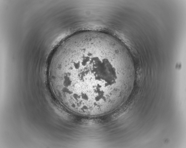 X0000093620679200710291227