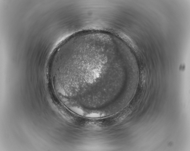 X0000093620680200710291227