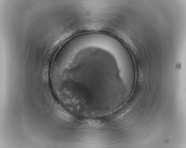 X0000093620681200710291227