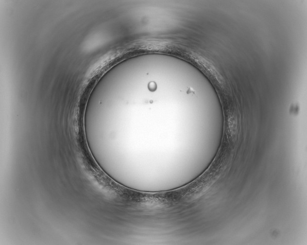 X0000093620682200710291227