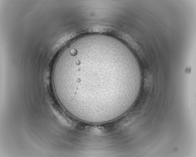 X0000093620683200710291227