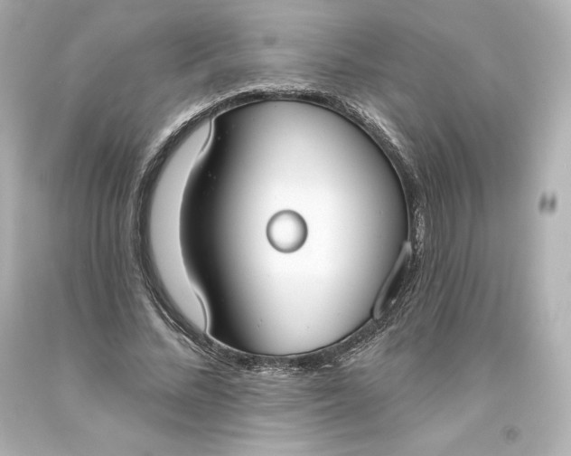 X0000093620684200710291227