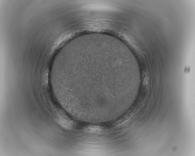 X0000093620685200710291227