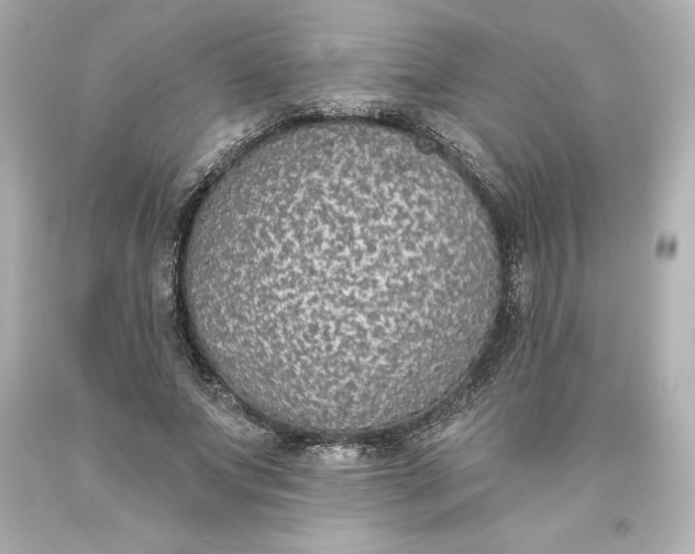 X0000093620687200710291226