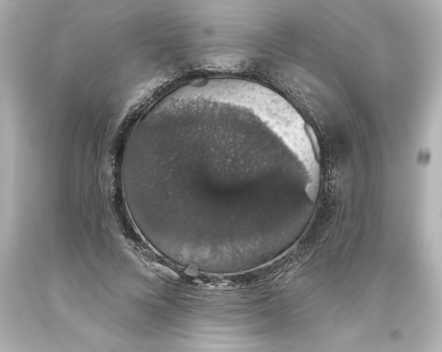 X0000093620688200710291226