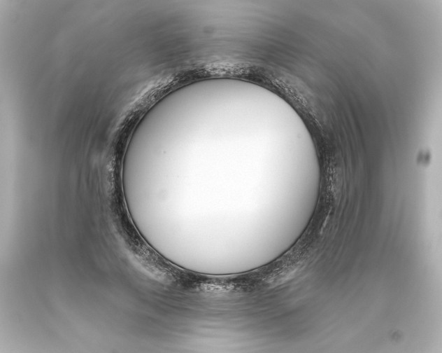 X0000093620690200710291226