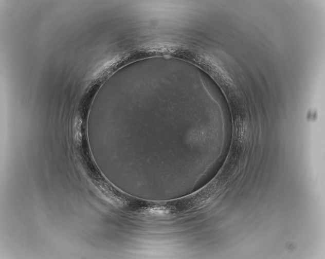 X0000093620692200710291226