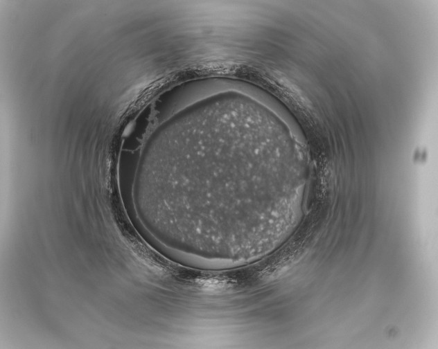 X0000093620693200710291226