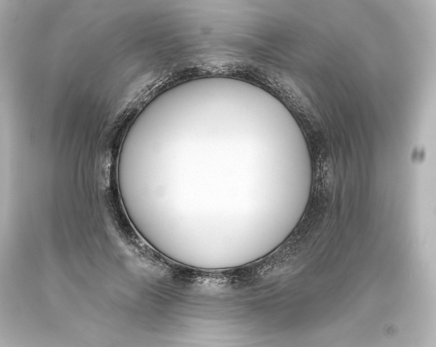 X0000093620694200710291226
