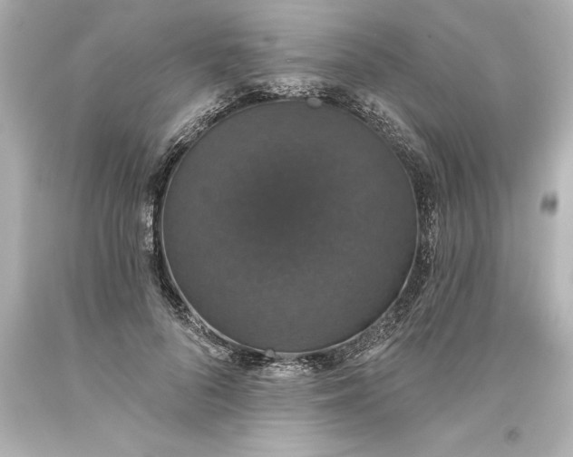 X0000093620696200710291226