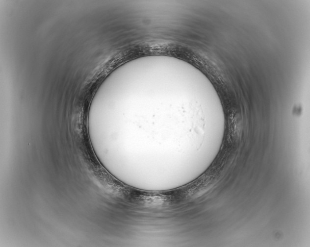 X0000093620698200710291226
