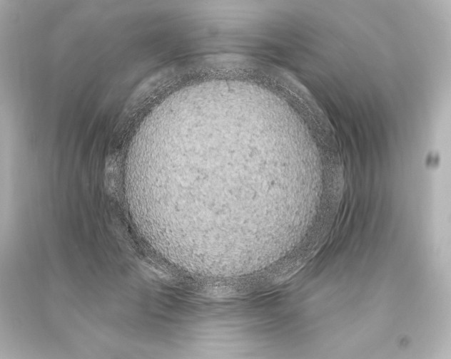 X0000093620701200710291226