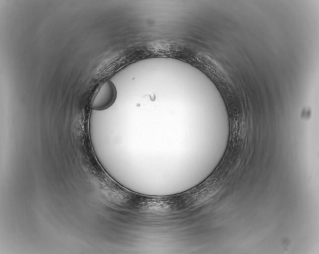 X0000093620702200710291226