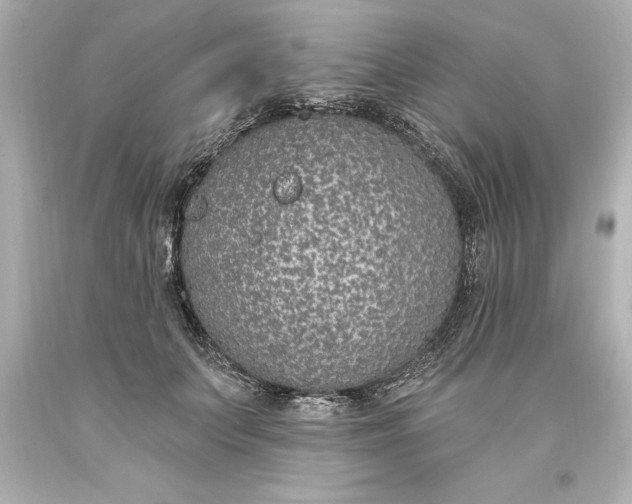 X0000093620703200710291226