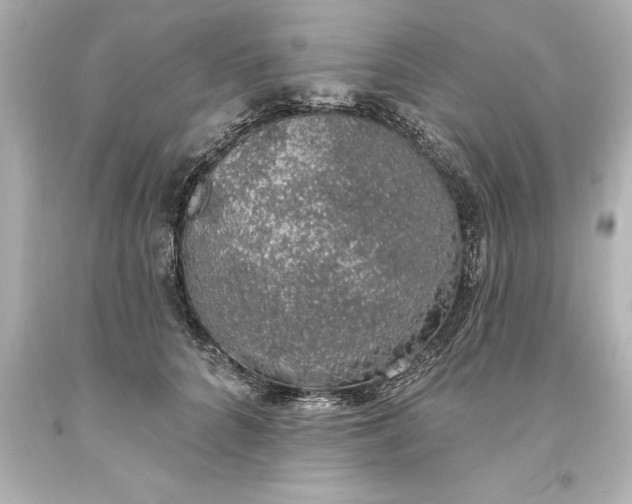 X0000093620704200710291226