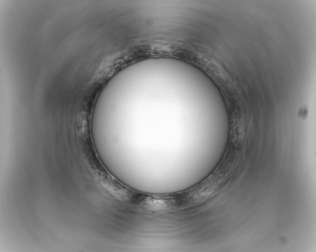 X0000093620706200710291226