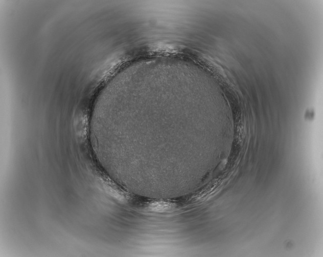 X0000093620708200710291226