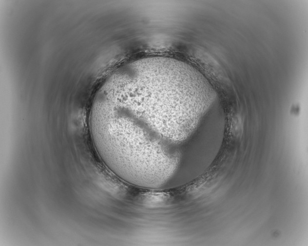 X0000093620711200710291226