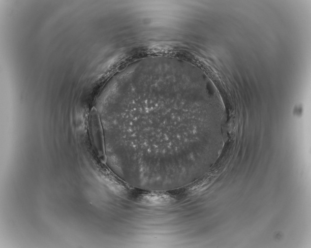 X0000093620712200710291226